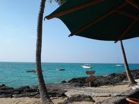 This is the reef at Kona Village - the best snorkeling was done at this reef just off the beach