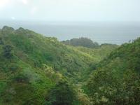 Road to Hana