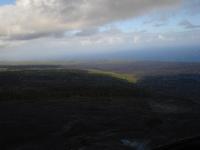 Amazing to see green in amongst all the lava rock