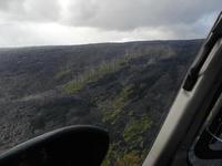 The lava just flowed around the trees